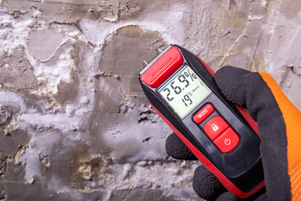 Best Localized Mold Remediation (e.g., coastal areas, humid climates) in Daisetta, TX